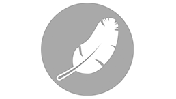 Poids réduit par rapport aux guidages à billes