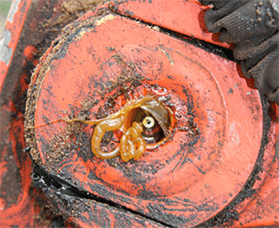 Photo d'un manque de graissage