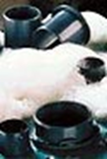 adaptés aux environnements humides